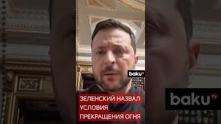 Владимир Зеленский заявил, что Киев готов прекратить огонь на 30 дней, но только в одном случае