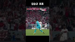 개간지 김승규