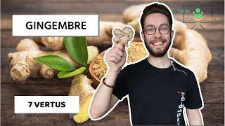 GINGEMBRE : 7 VERTUS SURPRENANTES SUR TON ORGANISME !