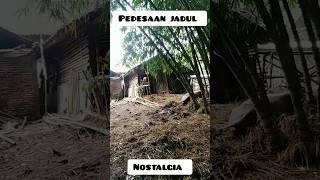 Seperti jaman dulu tahun 90an, pedesaan jauh dari keramaian...#shorts #desa #shortvideo