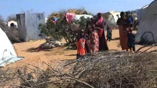 dadaab refugee camp - Dadaab Mülteci Kampı - kenya