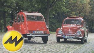 VW Beetle vs. Citroën 2CV | Motorvision