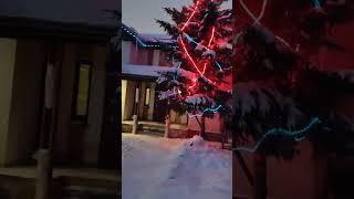 Коттедж Белые ночи в аренду.