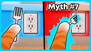 BUSTING 23 Myths in I Am Cat VR