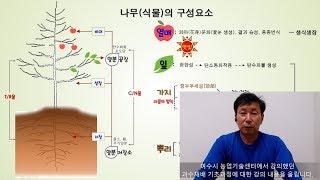 과수재배 기초 1편 - 여수시 농업기술센터 강의 내용