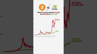 비트코인 VS 엔비디아 주식에 $10,000 투자 했다면? #stocks #money  #bitcoin