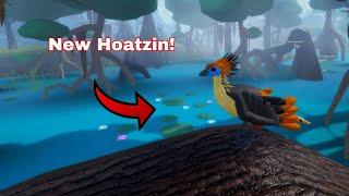 The New Hoatzin Is Amazing! | Feather Family, Roblox