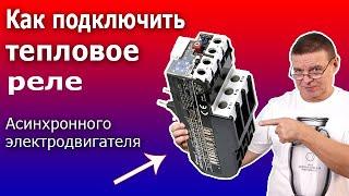 Тепловая защита электродвигателя. Подключение теплового реле Схема и принцип действия теплового реле