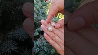 серебряные серьги с жемчугом