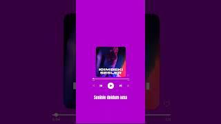 Umut Capone - IÇIMDEKI SESLER Lyrics/Sözler