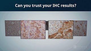 Can you trust your immunohistochemistry (IHC) results? | CST Validation