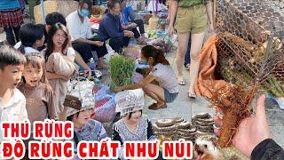 Chợ phiên Bắc Hà sau bão Yagi đìu hiu không khách du lịch dân khóc ròng - Đồ rừng bán không ai mua