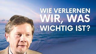 Transzendenz & Spiritualität - Warum lernen wir es nicht in der Schule? - Eckhart Tolle Deutsch