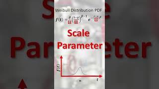 What is a Weibull Distribution?