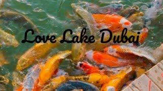 Dubai Love Lake  ||Jui Sami Vlog Dubai|| My first vlog️