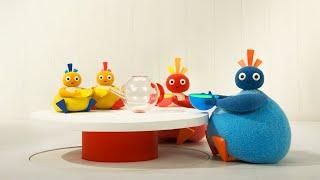 Twirlywoos - Tea Time | WildBrain First Steps | Fun-filled Videos For Kids