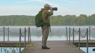 Capture Stunning Wildlife Shots: Essential Tips for Beginner Photographers