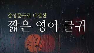 감성 문구로 나열한 짧은 영어 글귀 23개 모음