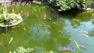 愛啊(李明洋) 楊仁弘翻唱_HD高畫質_SAYATOO卡拉字幕精靈_會聲繪影製作KTV影片_音圓半唱機