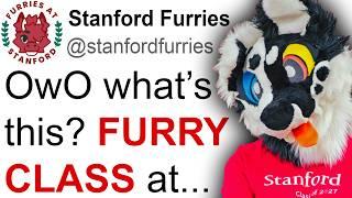 There's a FURRY COLLEGE COURSE now...