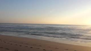 Beach sunrise in Boca Raton Florida with Carolyn Boinis Boca Raton Real Estate Broker