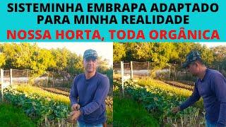 COLHENDO VERDURAS EM NOSSA HORTA ORGÂNICA. #SISTEMINHA #EMBRAPA ADAPTADO PARA MINHA REALIDADE