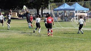 2015 AYSO Region 39 U12 Boys Championship Highlights