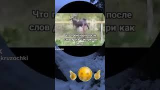 25 травня 2025 р.