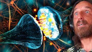 NEUROCIENTISTA EXPLICA O QUE É A CONSCIÊNCIA | Lutz Podcast