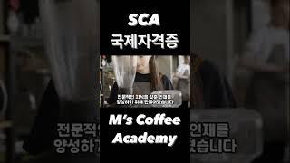 #sca자격증 #커피자격증 #바리스타자격증 #바리스타