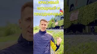 С ВЕЛИКОЙ ПОБЕДОЙ ДРУЗЬЯ#shorts