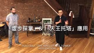 八極拳之「虛步探掌」與「天王托塔」應用 Xiao Baji “King Supporting the Tower” Application