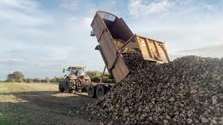 Carting sugar beet in the field - Case Puma 240 and Richard Western trailer.