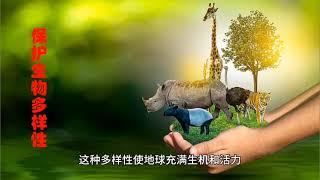 地球生物圈：揭露地球生命的奇迹与挑战     地球科普知识