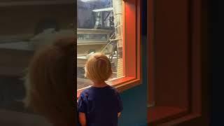 A new story for the whole family!! | #viralshorts #kidsfun