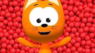 Best Videos Compilation and More Magical Stories for kids | meow meow