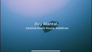 Hey Manta - Maldives Liveaboard 