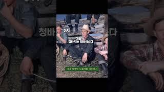 리바이스 빨간 탭의 실체 #리바이스