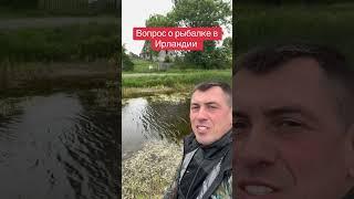 Рыбалка в Ирландии #ирландия #рыбалка #ручей