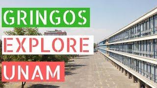 Gringos Explore The Largest University in Latin America (UNAM)