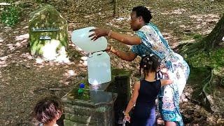 Kenyan Traditional Way Of Living In Germany || Harvesting Fresh Strawberries