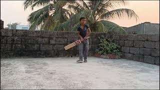 Vihan's Cricket Adventure: The Next Cricketing Pro?