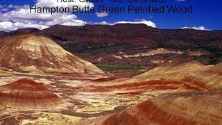 Hampton Buttes Green Petrified Wood