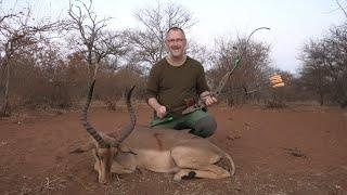 Big Impala ram with a recurve - Tales From the Willows - Sofala Safaris - Traditional Bowhunting