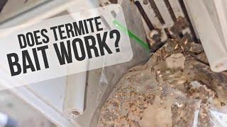 Termite Baiting Experiencd