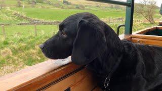 A Walk Along The South Tynedale Railway