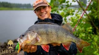 River Perch Fishing with BladeBite V2 | Westin Fishing