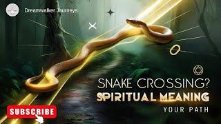 Spiritual Meaning of a Snake Crossing Your Path: Symbolism, Transformation, and Warnings