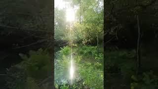 звуки природы , самый лучший психотерапевт 