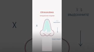 Дыхание для расслабления и концентрации. Занятия по йоге на канале #йога #пранаяма